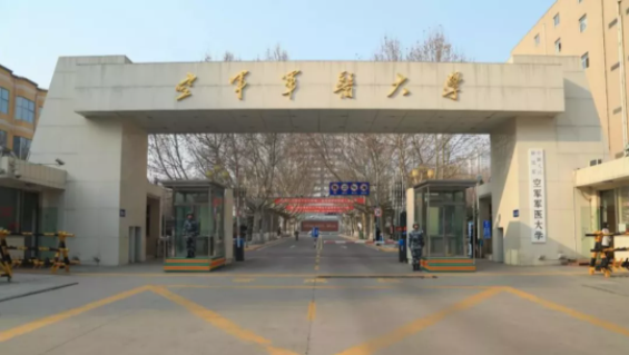 弱势儿童多元教育 第324页