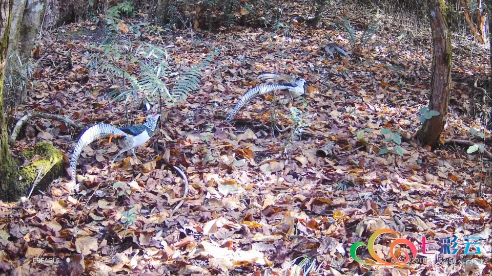 二级建造师的执业范围最新规定,变化带来的自信与成就感提升之路