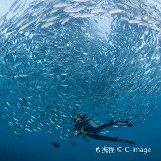 弱势儿童多元教育 第310页
