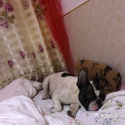 猪流感最新症状更新与小巷深处的特色小店探秘