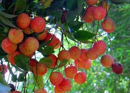 广东电白台风最新动态与小巷美食探秘