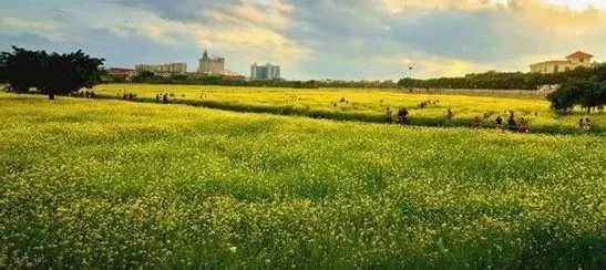 广东省烟草局局长最新动态，自然美景探索之旅