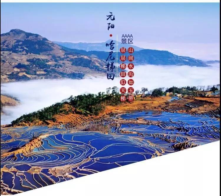 弱势儿童多元教育 第239页