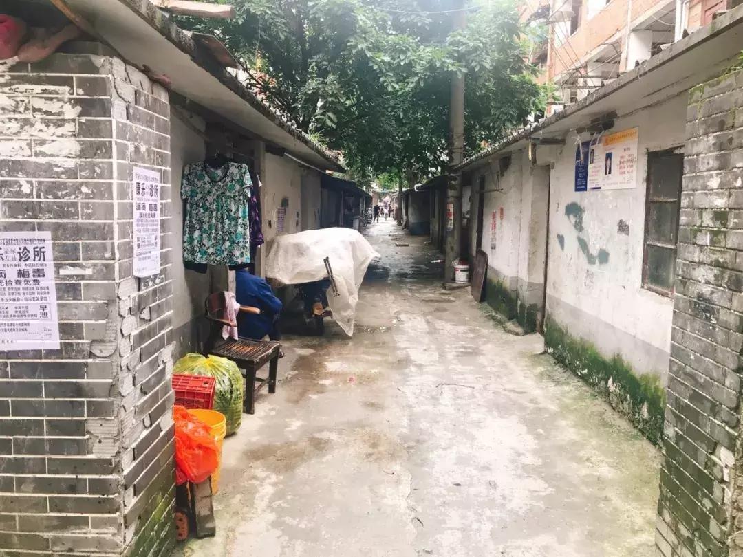 清华大学生医药校友会 第227页