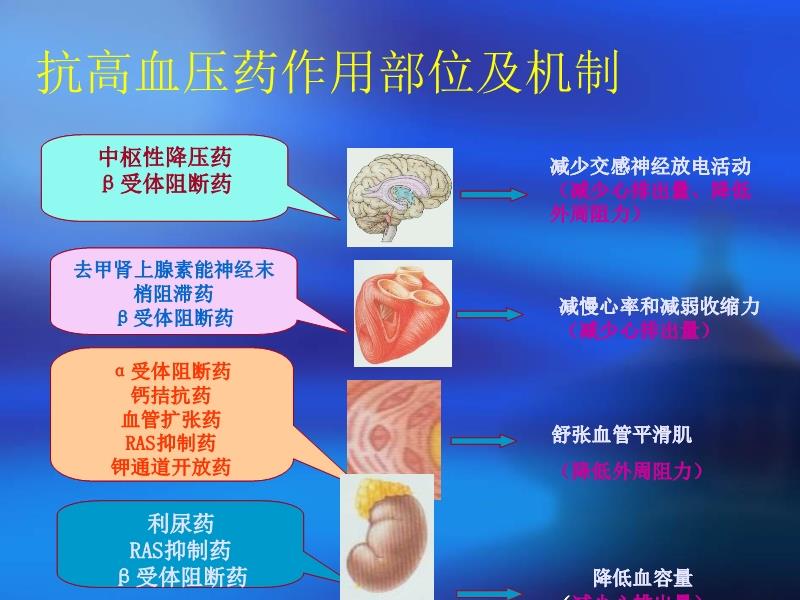 弱势儿童多元教育 第214页