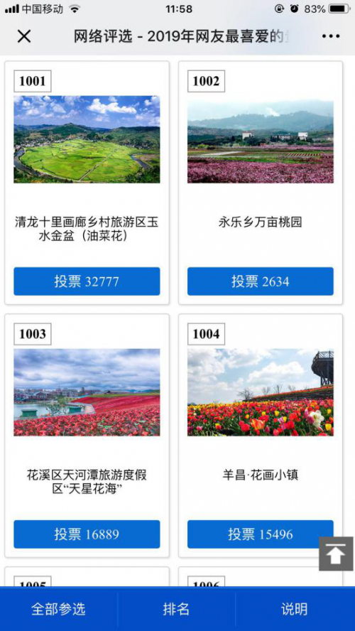 自然美景探索之旅，投票最新消息带你远离尘嚣，寻找内心平静