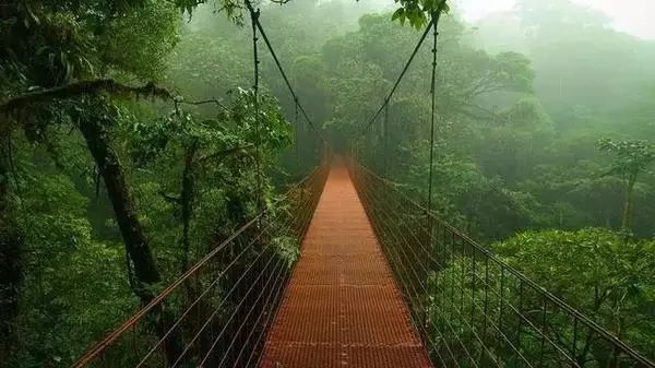 自然美景探索之旅 第5页