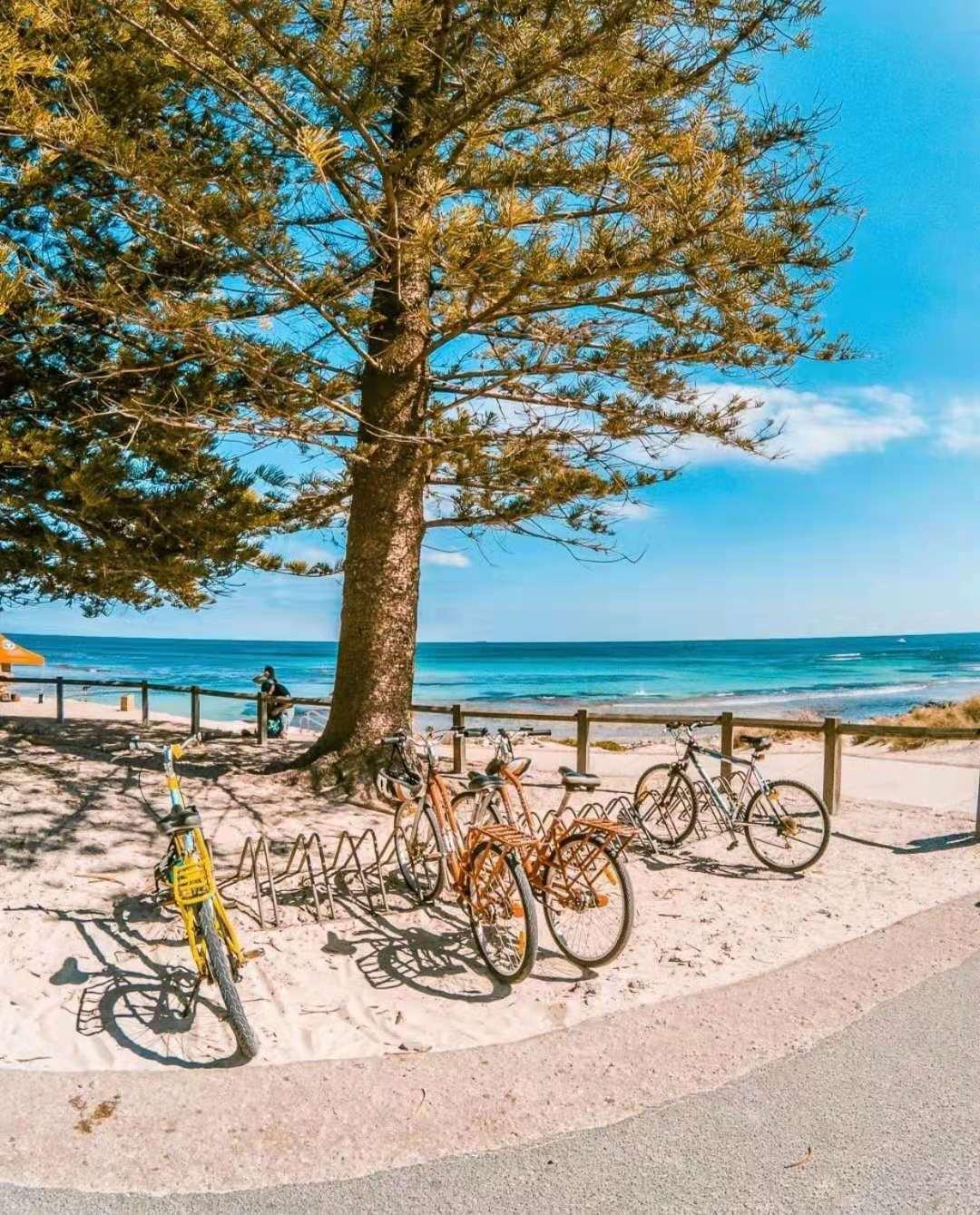 人工智能最新成果与自然美景的浪漫之旅探索