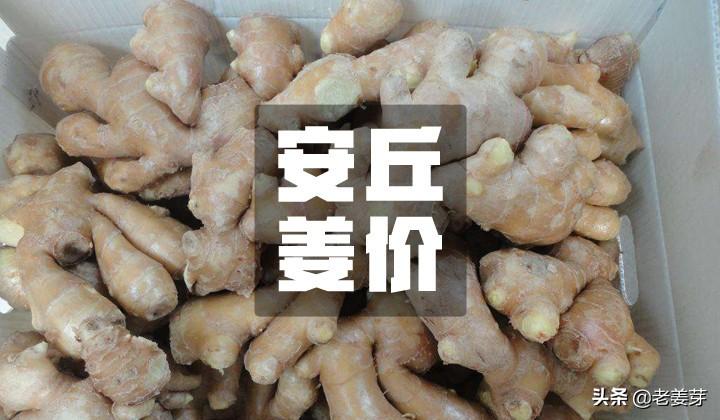清华大学生医药校友会 第144页
