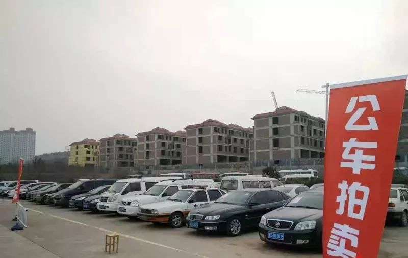 最新公车拍卖，自然美景的探索之旅启动