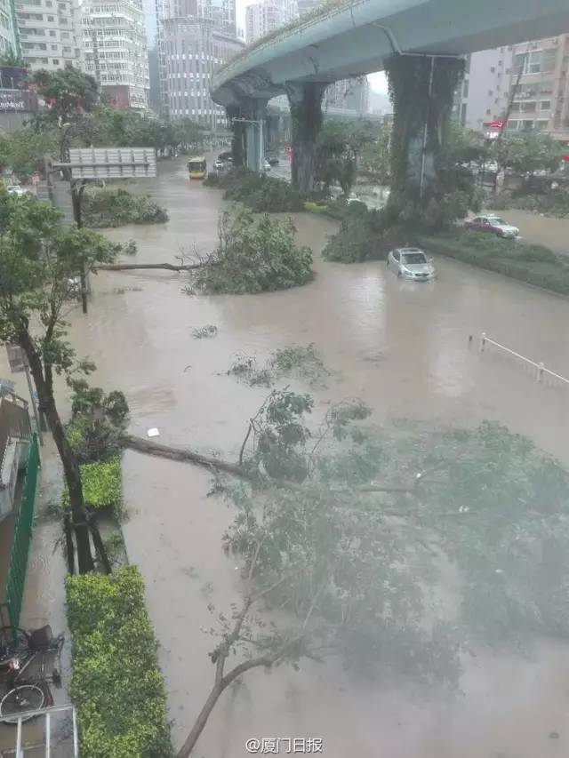 厦门暴雨最新消息，自然美景探索之旅的心灵洗涤