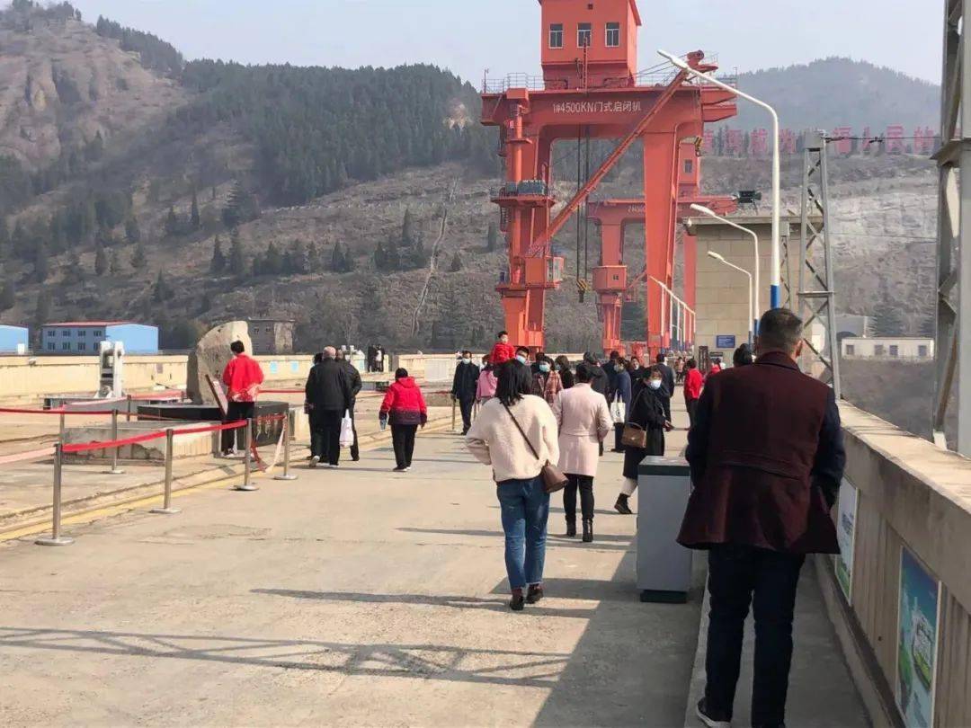 三门峡杨清波的最新动态与温馨日常