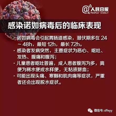 蒄状病毒最新动态，健康警示不容忽视