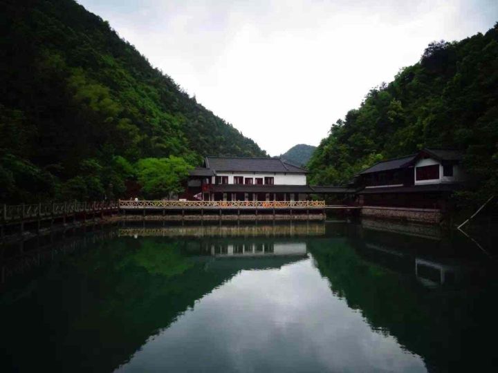 古驰蜜蜂包最新款，自然美景的探索之旅