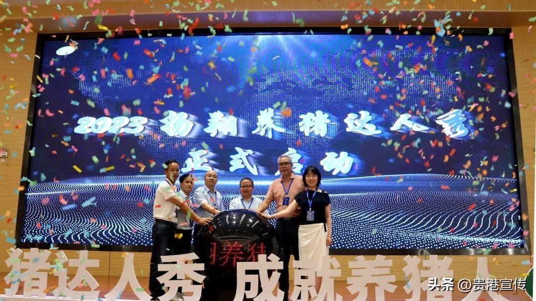 科技重塑生活，最新分日猪价智能解析报告
