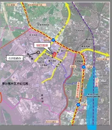 罗冲围最新动态更新