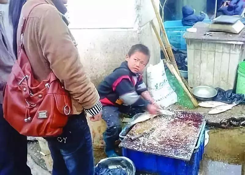 杀鱼弟教你轻松掌握杀鱼技巧，从入门到进阶的详细指南（最新视频）