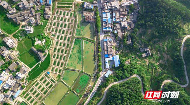 北京水木医学生物发展基金会 第149页