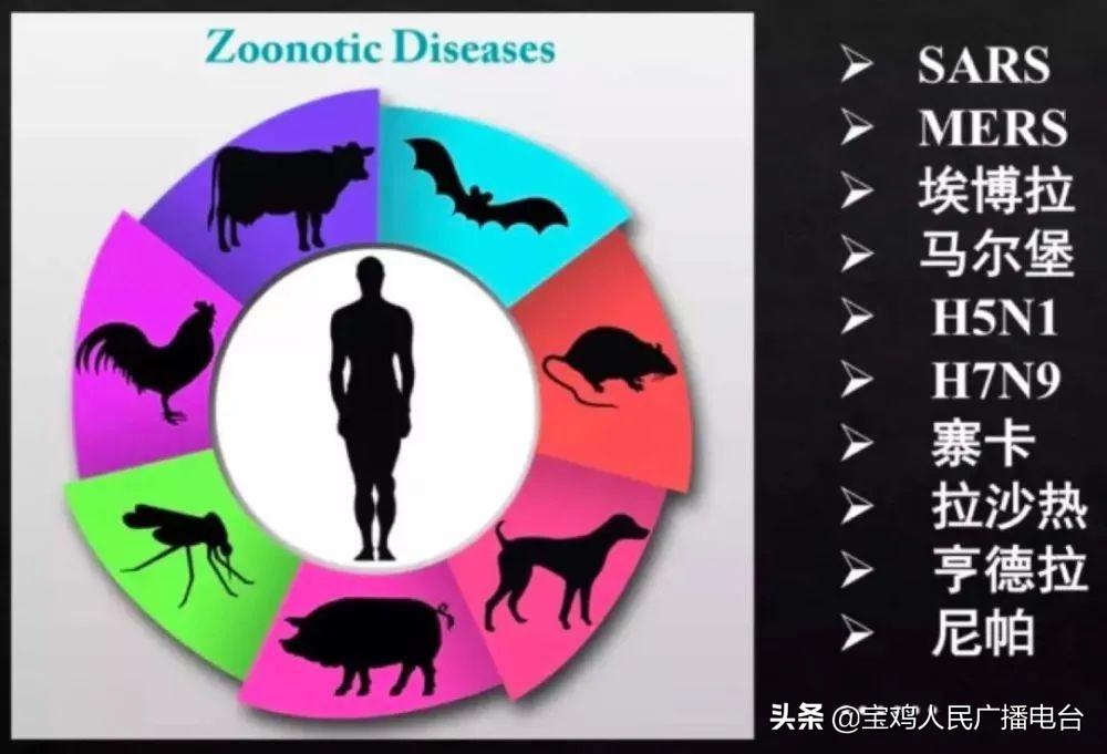东莞长安疫情最新通报，启程寻找内心的宁静之旅，大自然呼唤你！