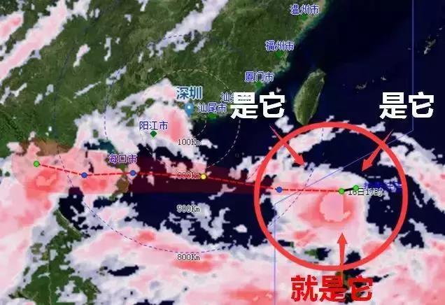 深圳最新台风预警，科技护航，安心无忧