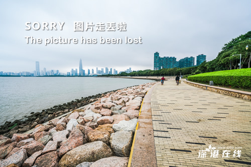 老挝高铁最新动态，进展与温馨旅程同步更新