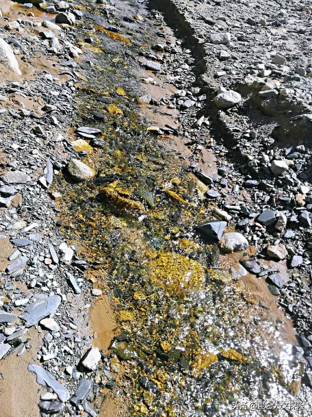 死神最新动态与自然美景探险之旅，寻找内心的平和宁静