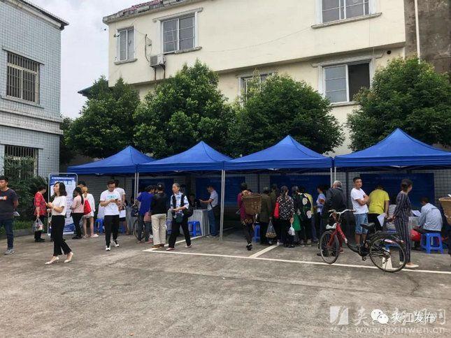 夹江最新招聘全面解析，多元视角下的职业机会探索