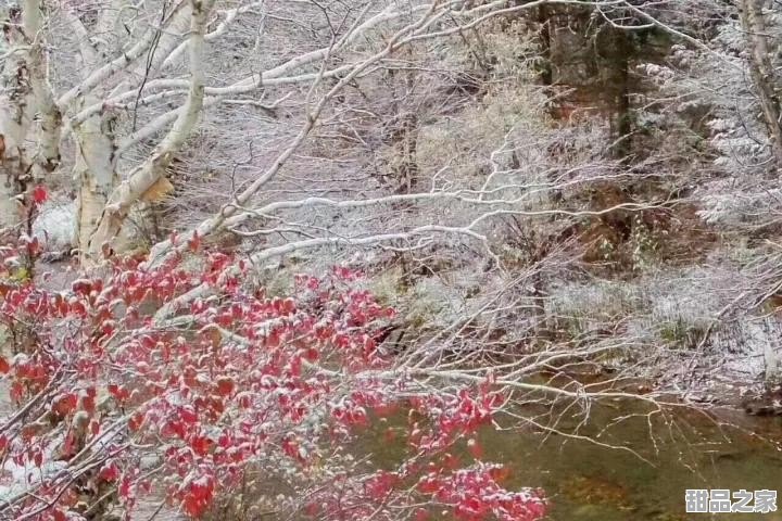 最新红雪，心灵平静之旅的奇妙探寻