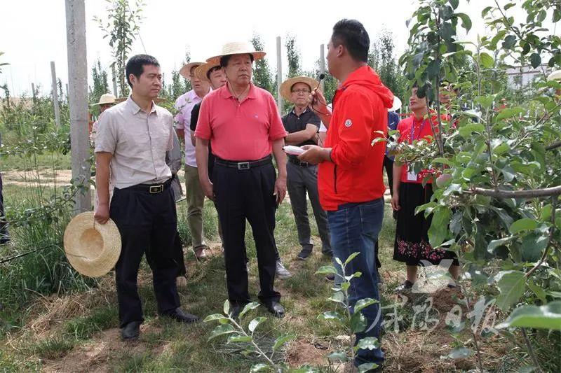 农业最新政策，时代的绿色篇章