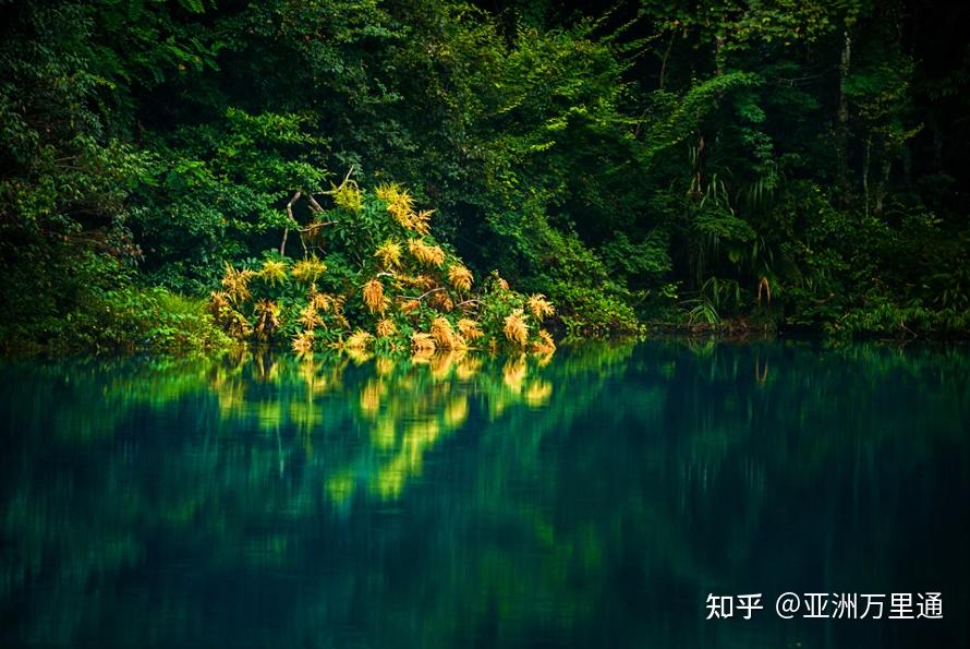NS最新破解，探索自然美景的轻松之旅，内心宁静与平和的追寻