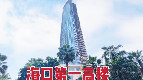 海口双子塔最新动态，科技之巅，感受未来之城魅力