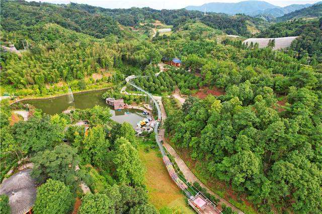 北京水木医学生物发展基金会 第37页