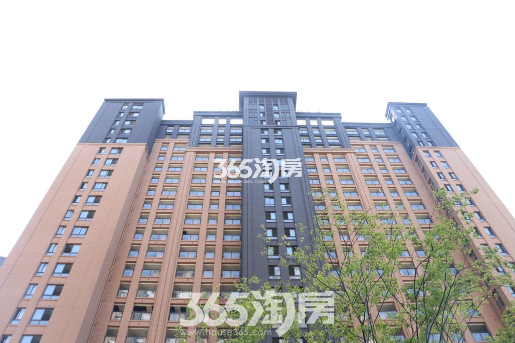 芜湖绿地海顿公馆最新房价揭秘，小巷深处的惊喜邂逅