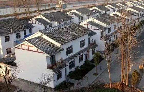 黄墩镇搬迁最新动态揭秘，小巷风情与宝藏小店探秘